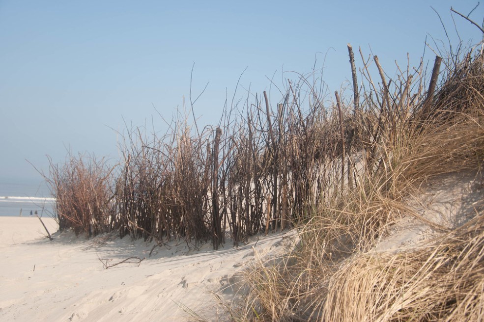 Das Bild zeigt eine Düne mit dem Meer im Hintergrund.