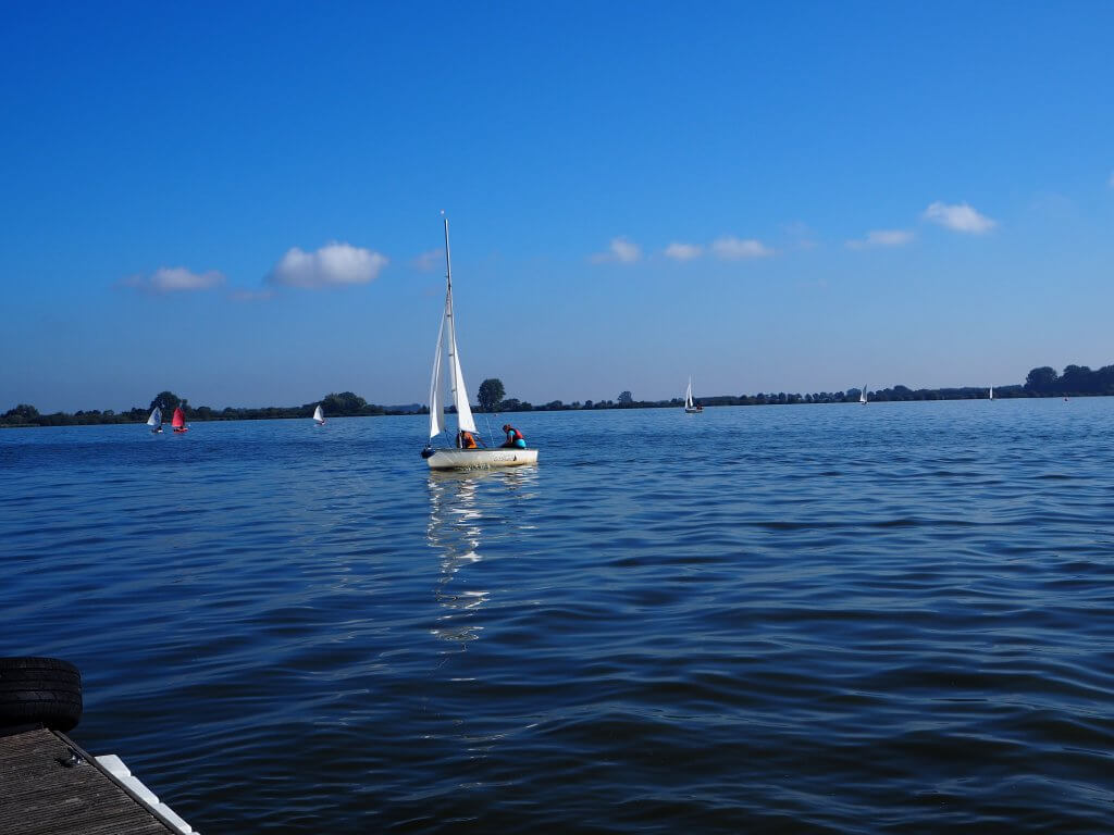 Das Bild zeigt ein Segelboot auf dem Dümmersee bei blauem Himmel.