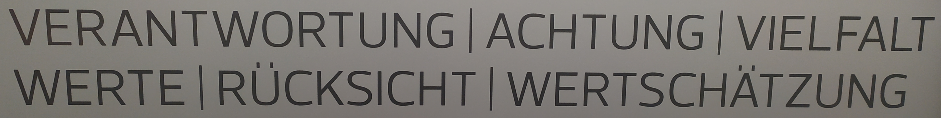Das Foto zeigt einen Schriftzug, wie er auf den Glastüren der Schule zu  finden ist: Verantwortung, Achtung, Vielfalt, Werte, Rücksicht, Wertschätzung